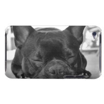 Cas d'iTouch de bouledogue français Étuis iPod Touch