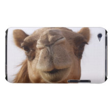 Cas d'iTouch de chameau Coques Barely There iPod