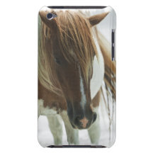 Cas d'iTouch de cheval sauvage de mustang Coques iPod Case-Mate