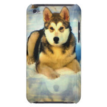 Cas d'iTouch de chiots de Malamute d'Alaska Coques iPod Touch