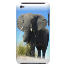 Cas d'iTouch d'éléphant africain Coque iPod Touch