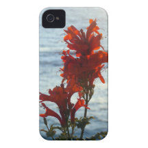 Cas iPhone4 fleuri Coque iPhone 4