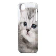Cas mignon de téléphone de l'iPhone 5 de Kitty Étui iPhone 5