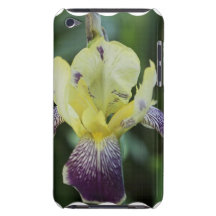 Cas rare d'iTouch d'orchidée Étui Barely There iPod