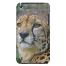 Cas sauvage d'iTouch de guépard Coque Barely There iPod