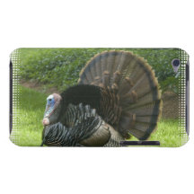 Cas sauvage d'iTouch de la Turquie Coque iPod Touch