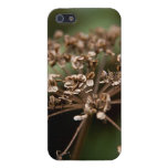 Cas sec de l'iPhone 5 de fleur Coque iPhone 5