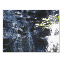 cascade impressions photo