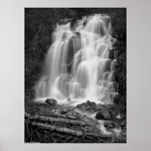 Cascade BW de parc national de mont Rainier Posters