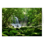 Cascade dans la forêt tropicale carte de vœux