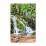 Cascade de l'eau dans la forêt toile tendue
