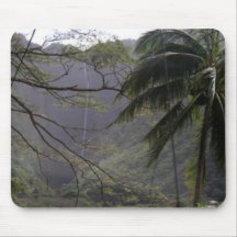 Cascade de vallée de Waipio, Hawaï Tapis De Souris