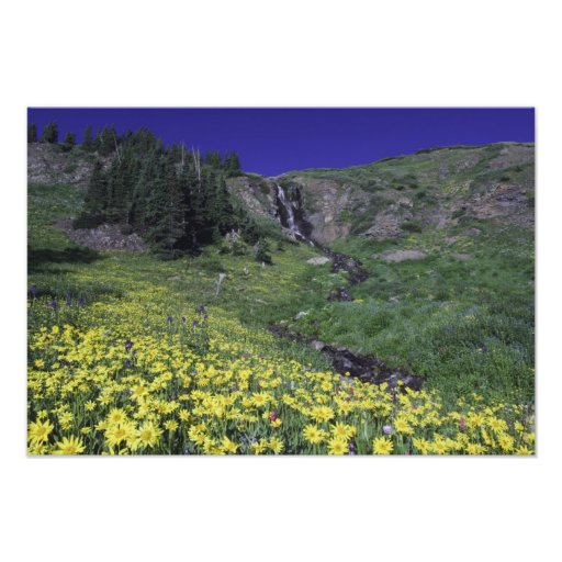 Cascade et fleurs sauvages dans le pré alpin, 2 photographie d’art