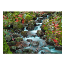 Cascade grande de tendons de cascades faire-part