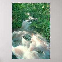 Cascade Hana de forêt tropicale Poster