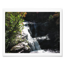 Cascade Photos