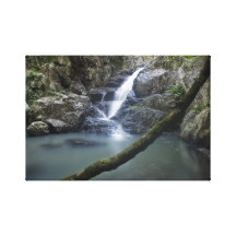 Cascade Queensland Australie de Cedar Creek Toiles Tendues