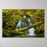 Cascade sur la traînée de mine de soleil posters