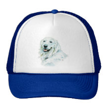 Casquette anglais de golden retriever