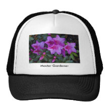 Casquette, "azalée pourpre, "