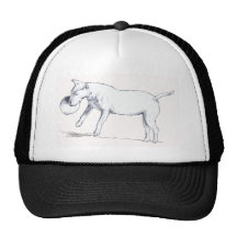 CASQUETTE BULL TERRIER