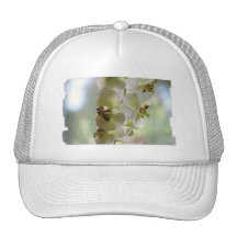 Casquette de baseball balançant d'orchidées