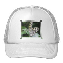 Casquette de baseball blanche et noire de papillon