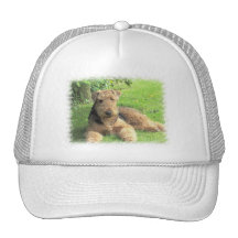 Casquette de baseball d'Airedale Terrier