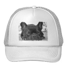 Casquette de baseball de bouledogue français