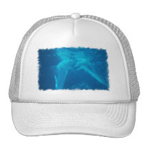 Casquette de baseball de causerie de paires de dau