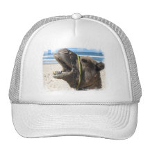 Casquette de baseball de chameau de désert