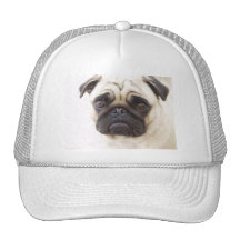 Casquette de baseball de chien de carlin