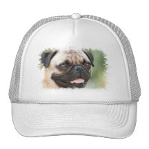 Casquette de baseball de chien de carlin