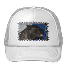Casquette de baseball de chien de Corso de canne