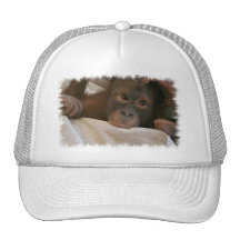 Casquette de baseball de chimpanzé de bébé