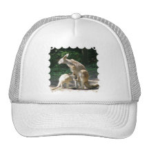 Casquette de baseball de Joey de kangourou