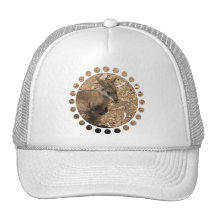 Casquette de baseball de kangourou de bébé