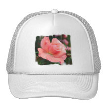 Casquette de baseball de rose de rose