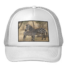 Casquette de baseball de zèbre de mère et de bébé