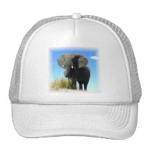 Casquette de baseball d'éléphant africain