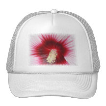 Casquette de baseball d'étamine de ketmie