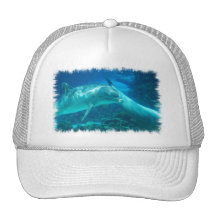 Casquette de baseball espiègle de dauphins