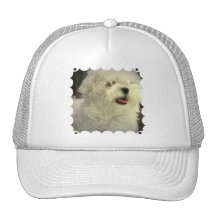 Casquette de baseball maltais