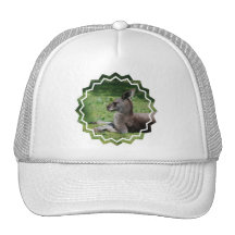 Casquette de baseball mignon de kangourou