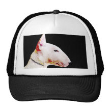 Casquette de bull-terrier