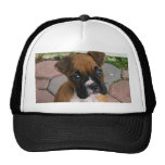 Casquette de chiot de boxeur