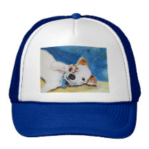 Casquette de Jack Russell Terrier