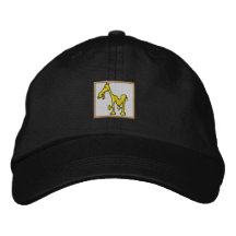 Casquette d'étalon casquette de baseball brodée
