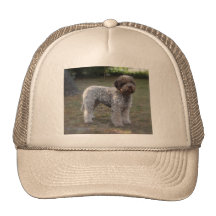 casquette lagotto-romagnolo