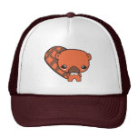 castor idiot mignon de kawaii casquette